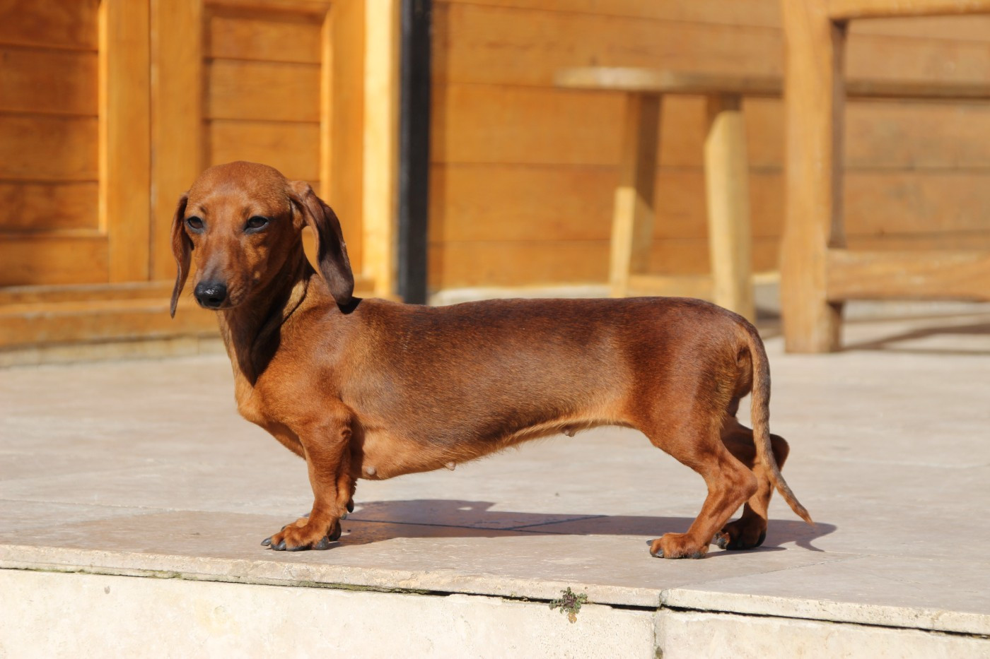 undra Domaine D'Agyp